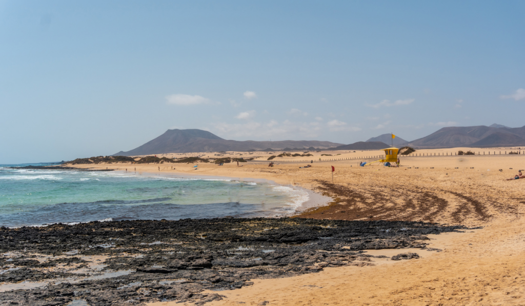 Beach of the dunes of the Natural Park of Corralejo, Fuerteventura, Canary Islands  ee220324