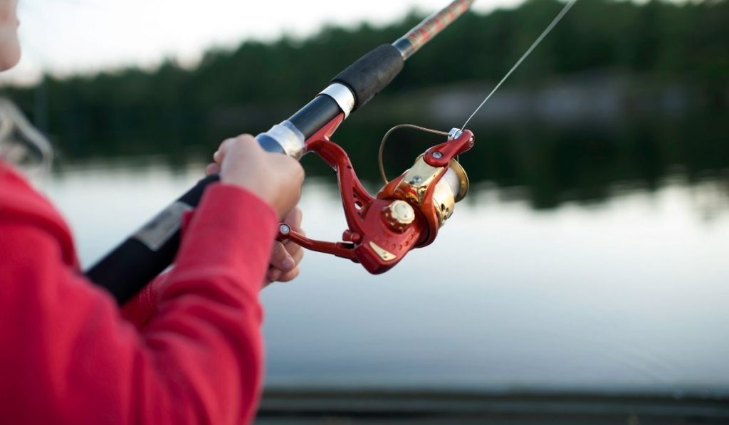 close up photo of a fishing rod - ee220329