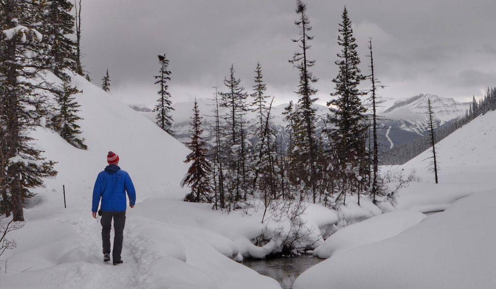 man standing snow covered grounds at lake louise 