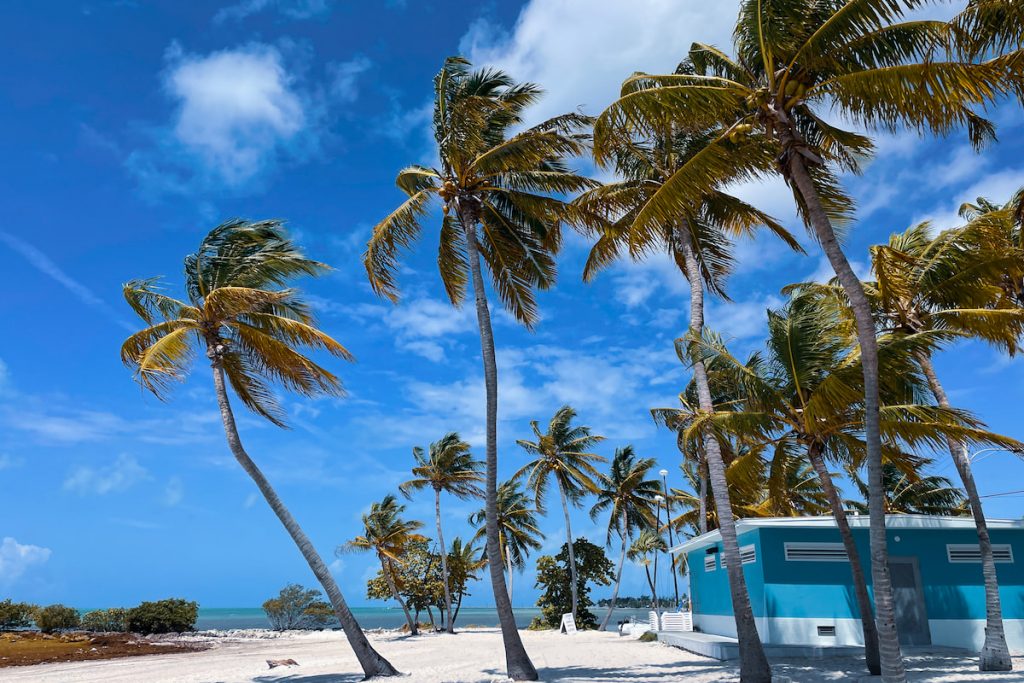 Key West beach,Florida, blue building tall palm coconut trees